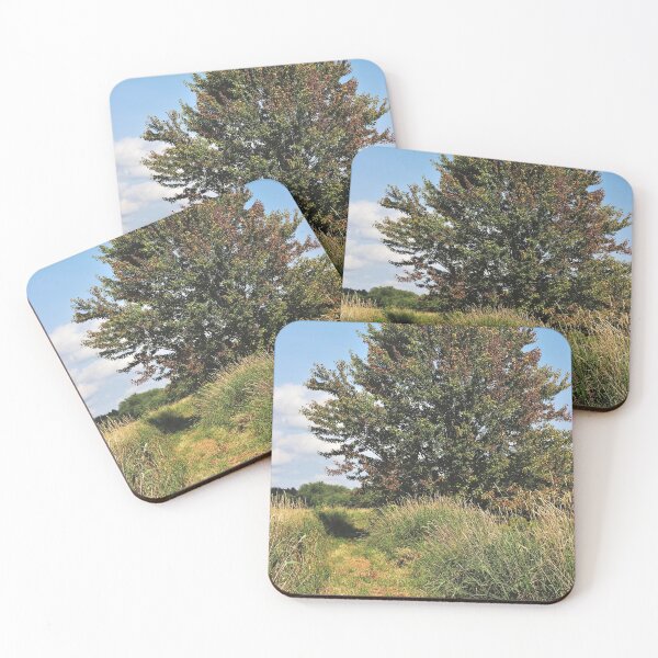Item preview, Sendero de los pantanos de Belleisle Creek II designed and sold by Kathleen Daley.