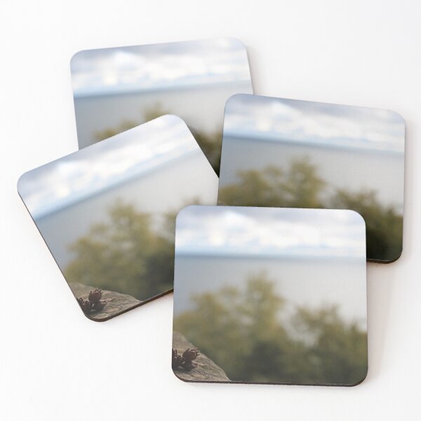 Item preview, H0015 Pinecones designed and sold by photographyemd.