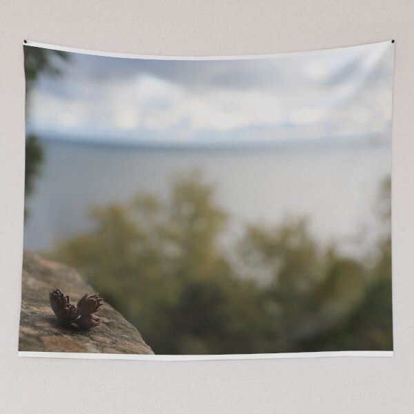Item preview, H0015 Pinecones designed and sold by photographyemd.