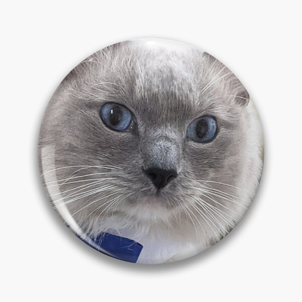 Item preview, Ragdoll boss cat Odin designed and sold by Fluffycat2020.