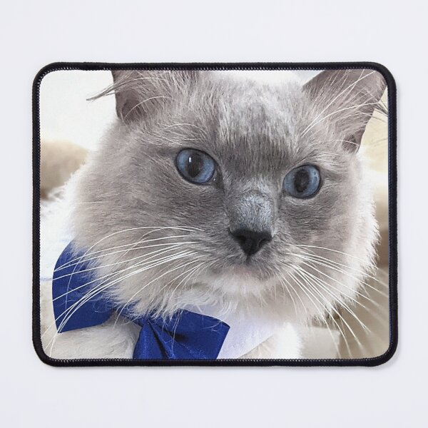 Item preview, Ragdoll boss cat Odin designed and sold by Fluffycat2020.