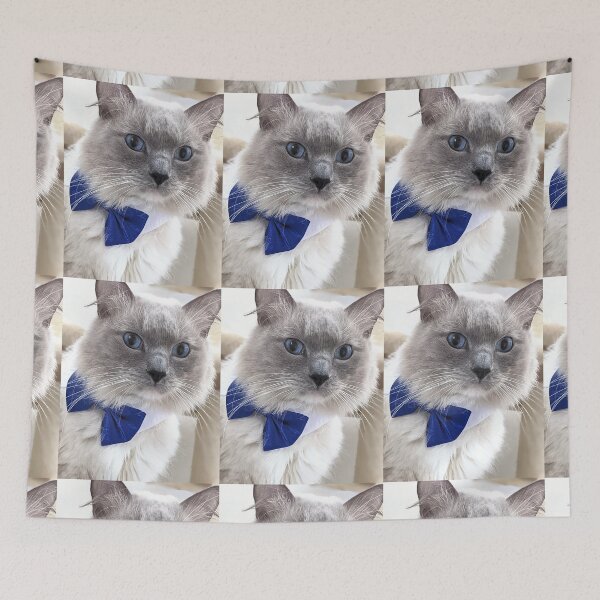 Item preview, Ragdoll boss cat Odin designed and sold by Fluffycat2020.