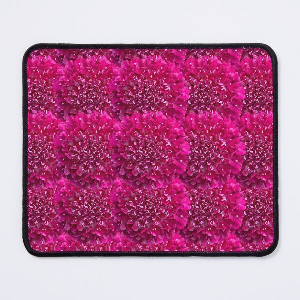 Item preview, Pink Scabious Flower Still Life Floral Photography designed and sold by CottoVerdi.