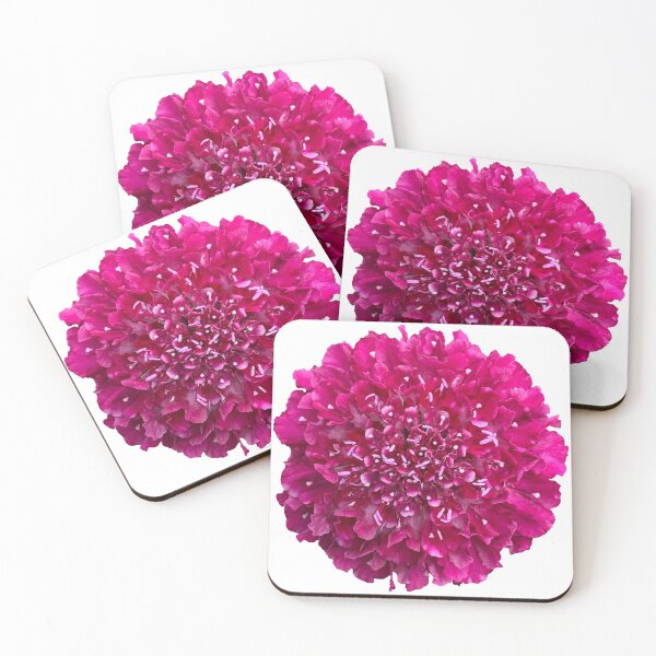 Item preview, Pink Scabious Flower Still Life Floral Photography designed and sold by CottoVerdi.