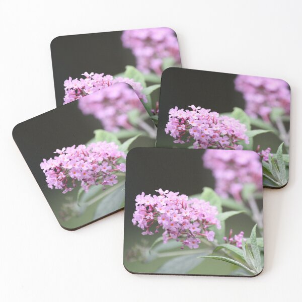Item preview, Pink Butterfly Bush study 1 designed and sold by chstudios.