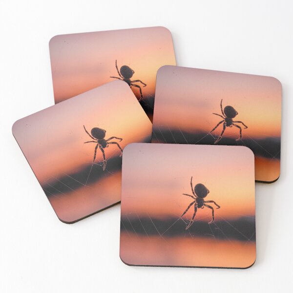 Item preview, H0021 Spider designed and sold by photographyemd.