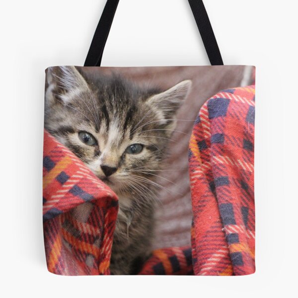 Item preview, Little fluffy kitten muzzle designed and sold by mrivserg.