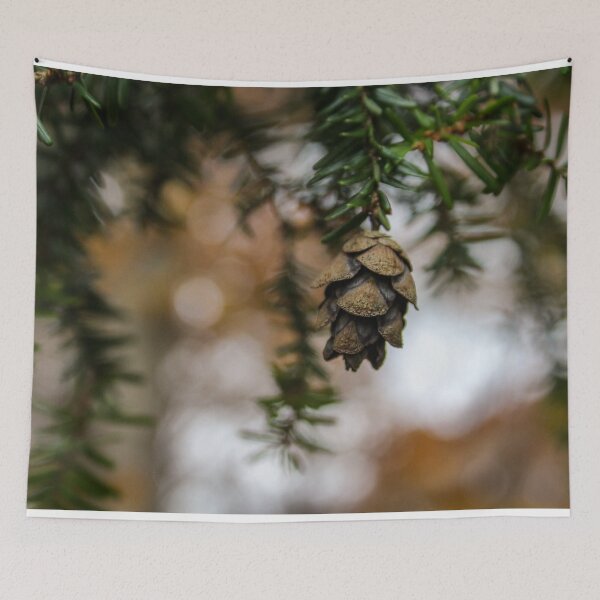 Item preview, H0024 Pinecone designed and sold by photographyemd.