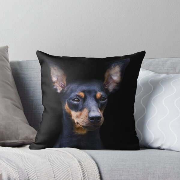 Aperçu de l'œuvre Chien doberman pinscher, animal isolé créée et vendue par MarketVisionAV.