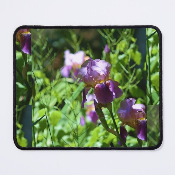 Item preview, Purple Bearded Irises study 2 designed and sold by chstudios.