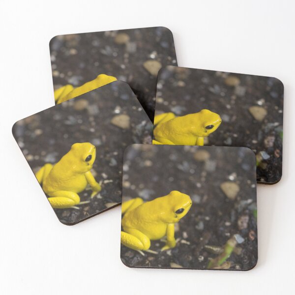 Item preview, Golden poison frog designed and sold by lukemiboy.