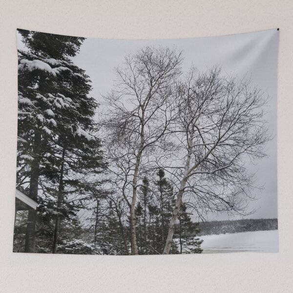 Item preview, Trees by the pond in winter designed and sold by Dreamingnewfie.
