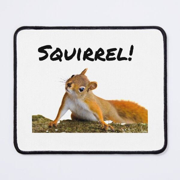 Item preview, Look A Squirrel designed and sold by Famtastic Artworks.
