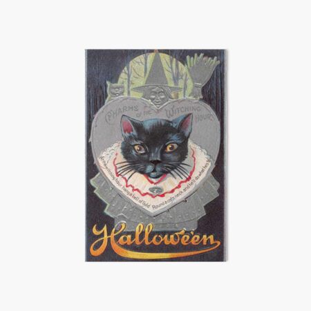 Wickedly Stylish Halloween: Witchy Charms, Colored Haunt, and Bat