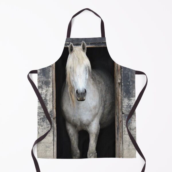 Aperçu de l'œuvre cheval blanc et gris regardant par une porte de grange créée et vendue par cspotlimp.