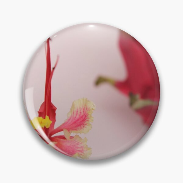 Item preview, Pitaya designed and sold by porterica.