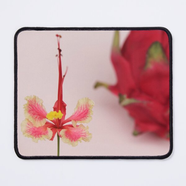 Item preview, Pitaya designed and sold by porterica.