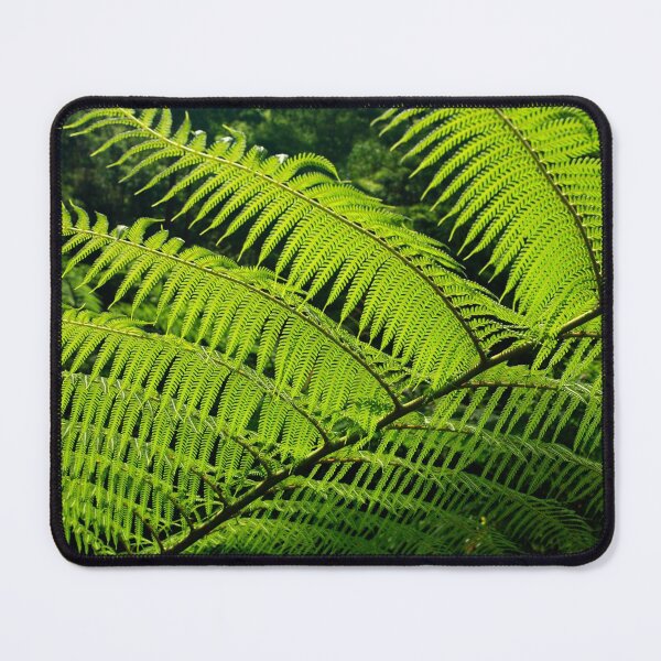Item preview, Fern designed and sold by Gaspar Avila.