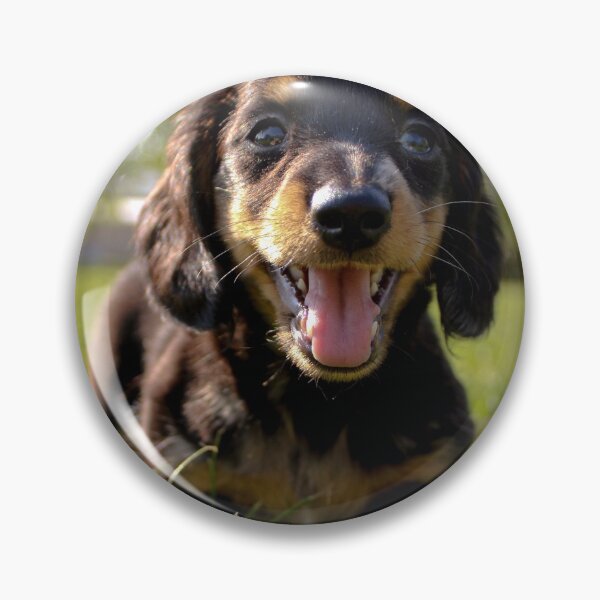 Item preview, H0028 Puppy designed and sold by photographyemd.