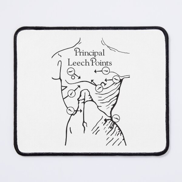 Item preview, Principal Leech Points designed and sold by Off the Box.