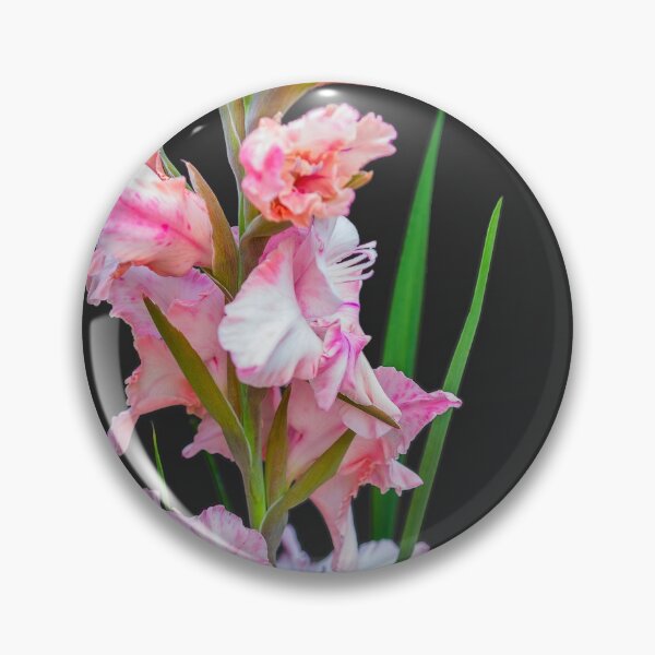 Item preview, Gladiolus pink on a dark background designed and sold by Benjamin Gelman.