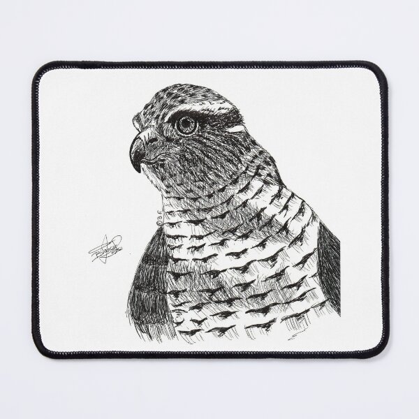 Item preview, Goshawk. Goshawk. designed and sold by BeritValk.