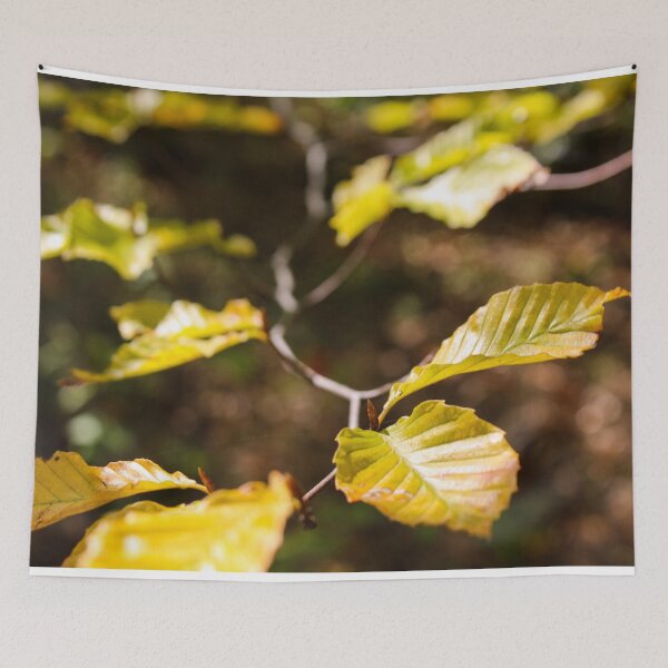 Item preview, H0032 Autumn Leaves designed and sold by photographyemd.