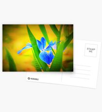 Blue flag Postcards