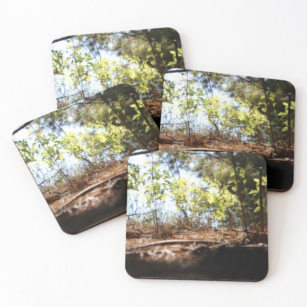 Item preview, H0037 Forest designed and sold by photographyemd.