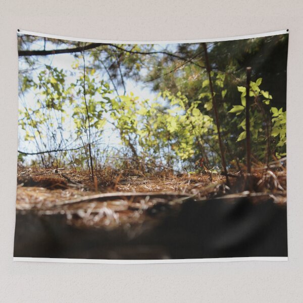 Item preview, H0037 Forest designed and sold by photographyemd.