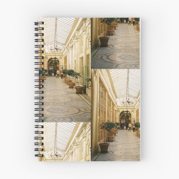 Item preview, Galerie Vivienne en París designed and sold by RegKenPhoto.