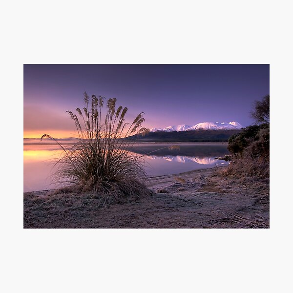Morning Bliss - New Zealand Photographic Print
