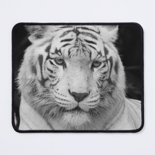 Item preview, White Tiger 2 designed and sold by LeanneAllen.