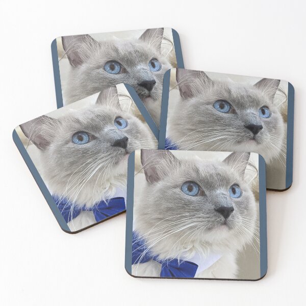Item preview, Ragdoll boss cat Odin designed and sold by Fluffycat2020.