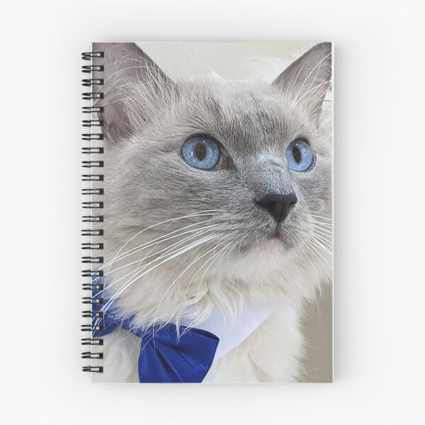 Item preview, Ragdoll boss cat Odin designed and sold by Fluffycat2020.