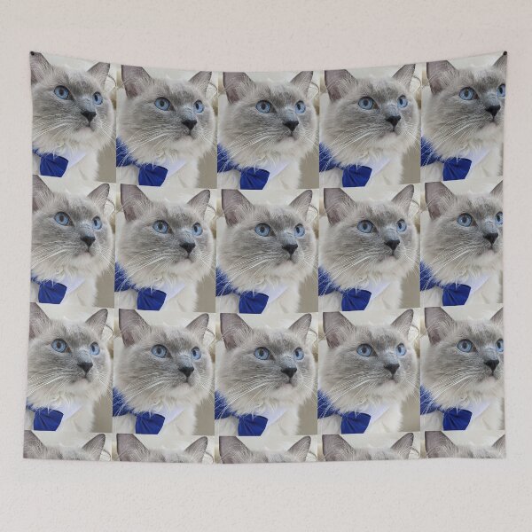 Item preview, Ragdoll boss cat Odin designed and sold by Fluffycat2020.
