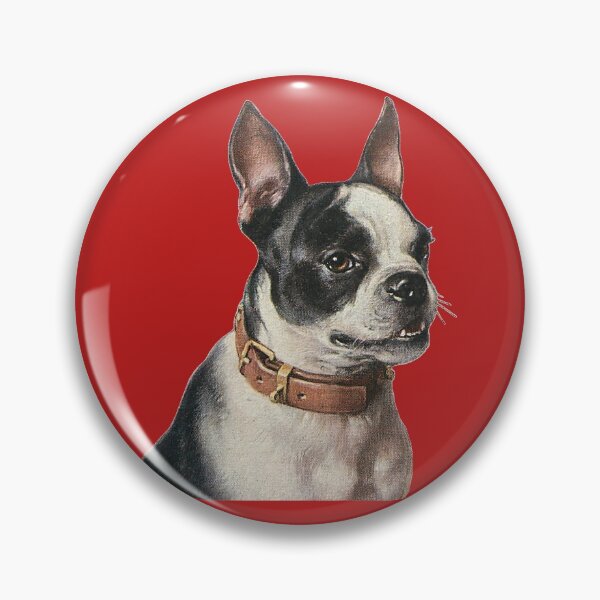 Item preview, Cute Vintage Boston Terrier Dog with Collar designed and sold by RedThorThreads.