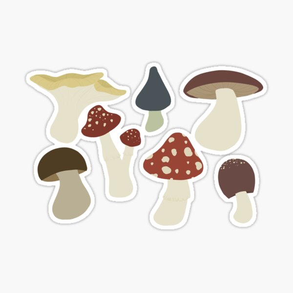 Cottagecore Raccoon Aestethic Mushrooms Cute Trash Sticker