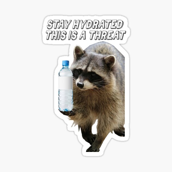 Raccoon Sticker Illustration Waterproof - Buy Any 4 For $1.75 Each  Storewide!