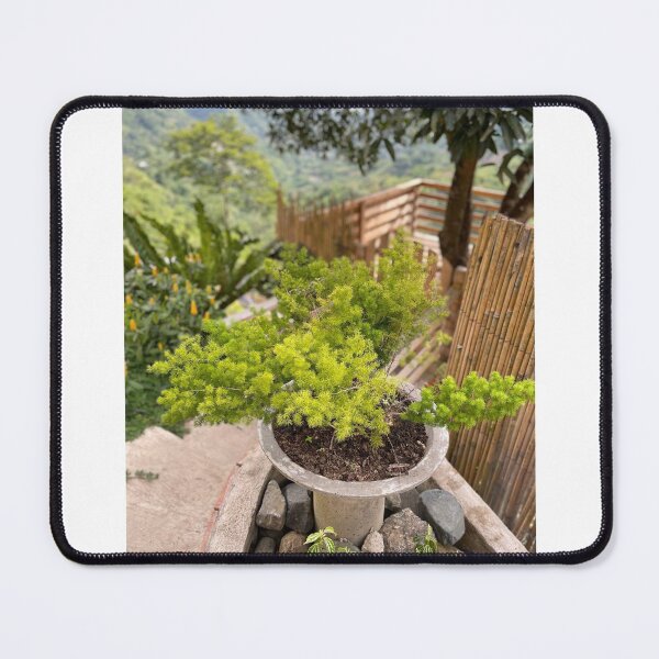 Item preview, Nature's Beauty in a Pot designed and sold by iAmmAja43.