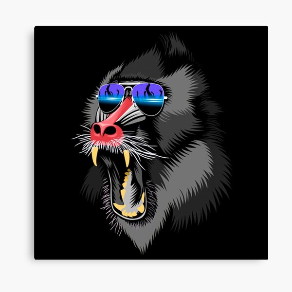Dj Monkey Canvas Print