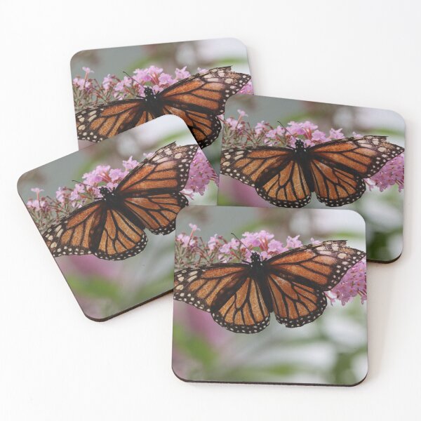 Item preview, Tattered Beauty designed and sold by LisaNaturePhoto.