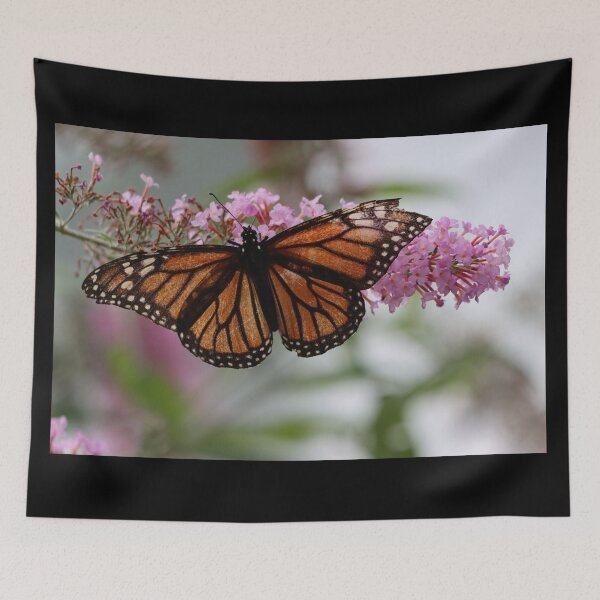 Item preview, Tattered Beauty designed and sold by LisaNaturePhoto.