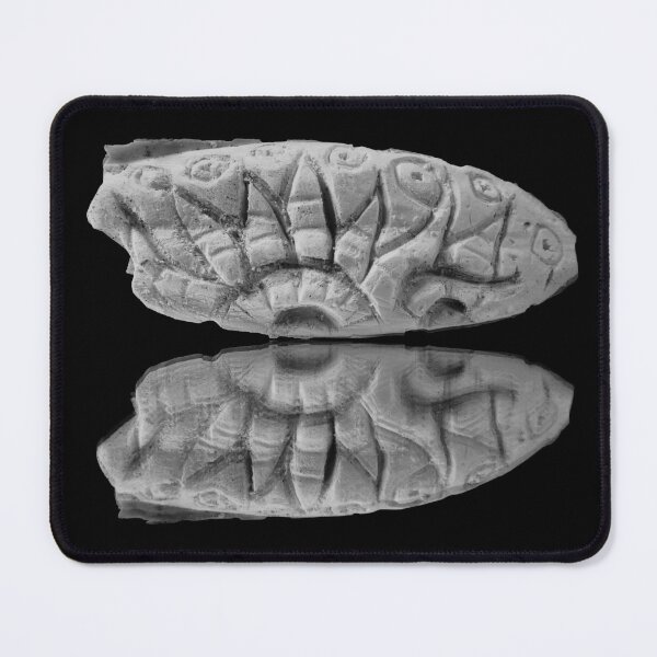 Item preview, “Cuttlefish” | In Black and White designed and sold by LiseHoltArt.