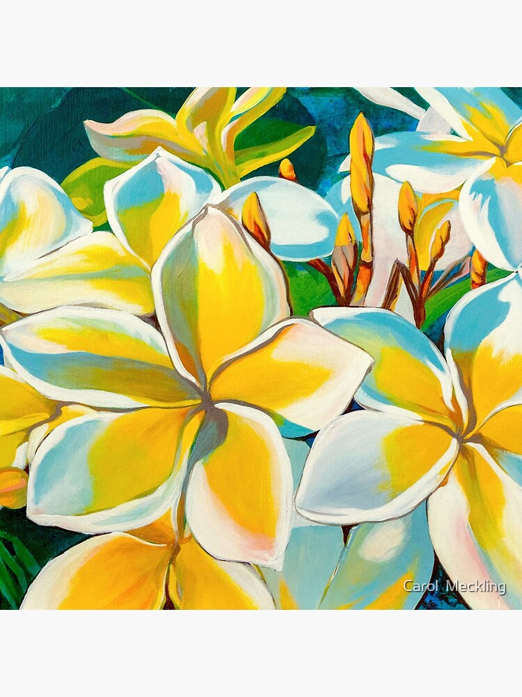 Plumeria by carolmeckling