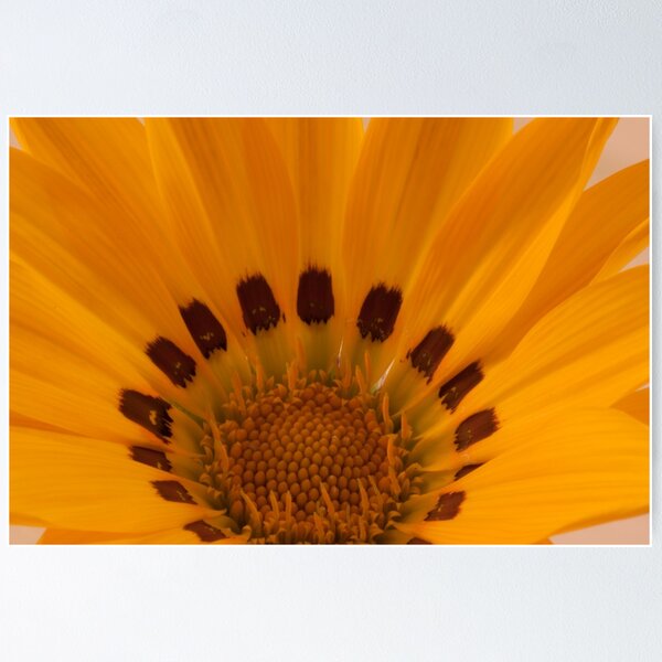Item preview, Gazania Macro Details designed and sold by Sandra Foster.