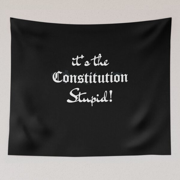 Item preview, It's The Constitution Stupid Citizen Right American Freedom T-Shirt designed and sold by spolayastore.