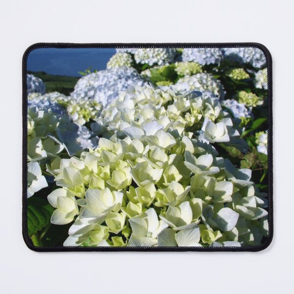 Item preview, Hydrangeas designed and sold by Gaspar Avila.