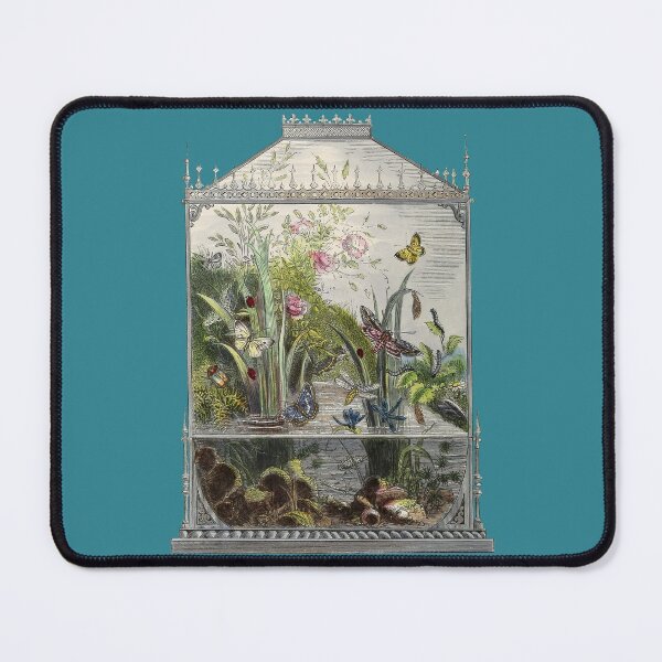 Item preview, Beautiful Retro Butterfly Terrarium designed and sold by RedThorThreads.