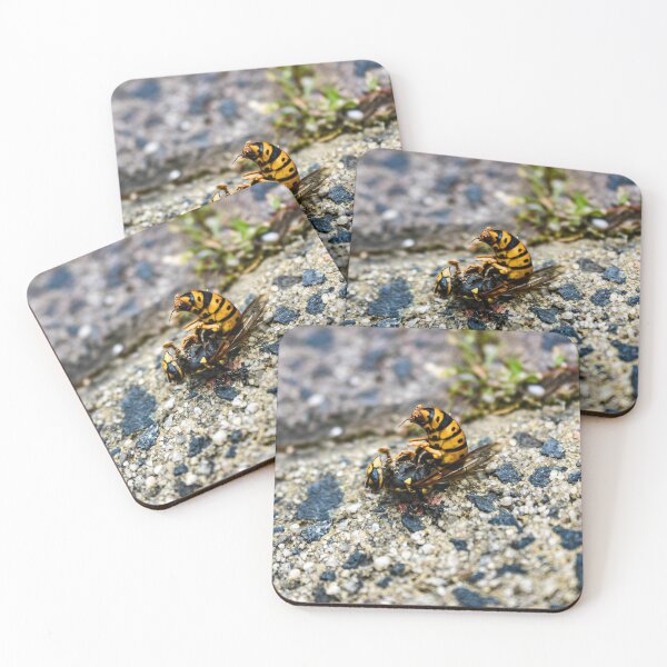 Item preview, A Bright Yellow and Black dead European wasp being eaten by ants on a sandy concrete ground designed and sold by James-Cole.